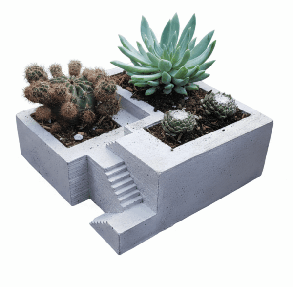 FORTALEZA 2 Fortaleza