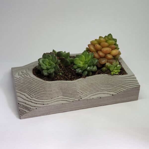 Maceta_Atmósfera_3 Bahía