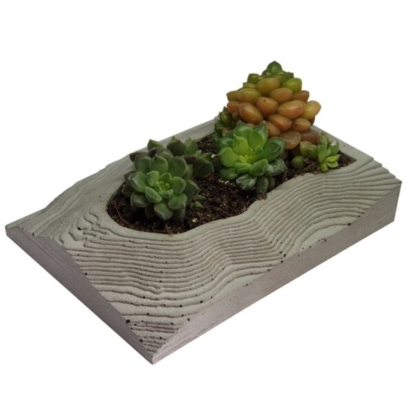 expocicion 07 Bahía