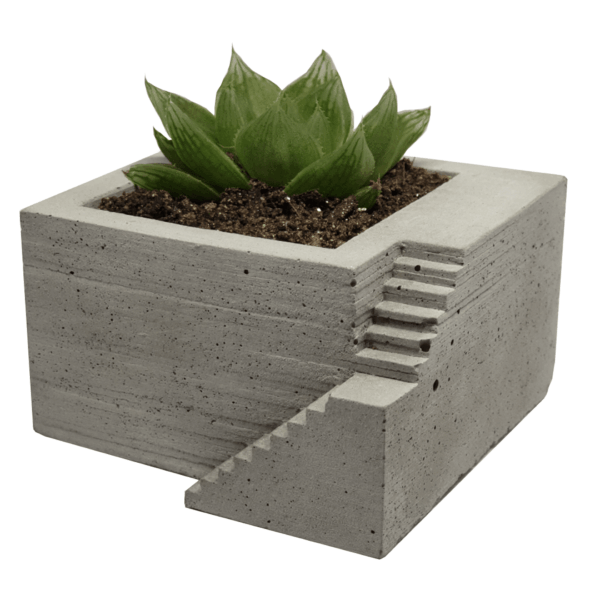 expocicion 23 Esquina Pequeña