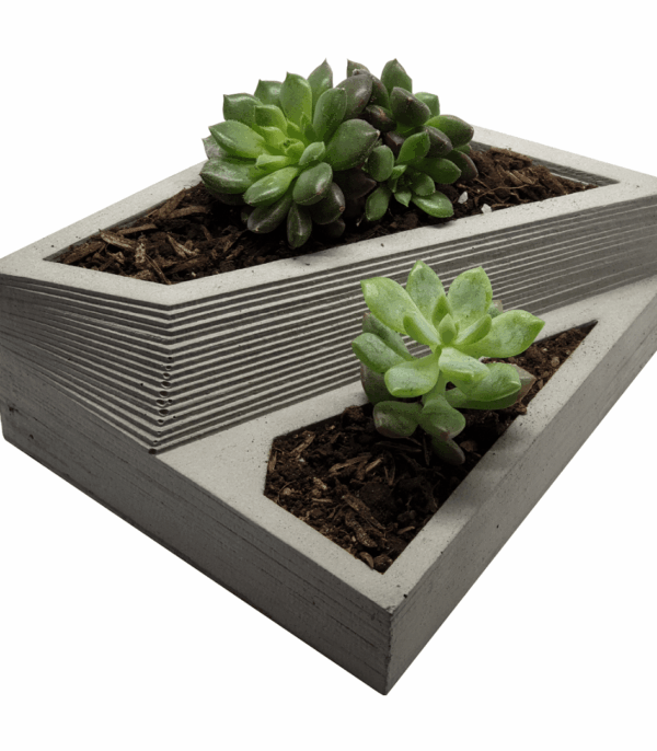 expocicion 31 Fractal