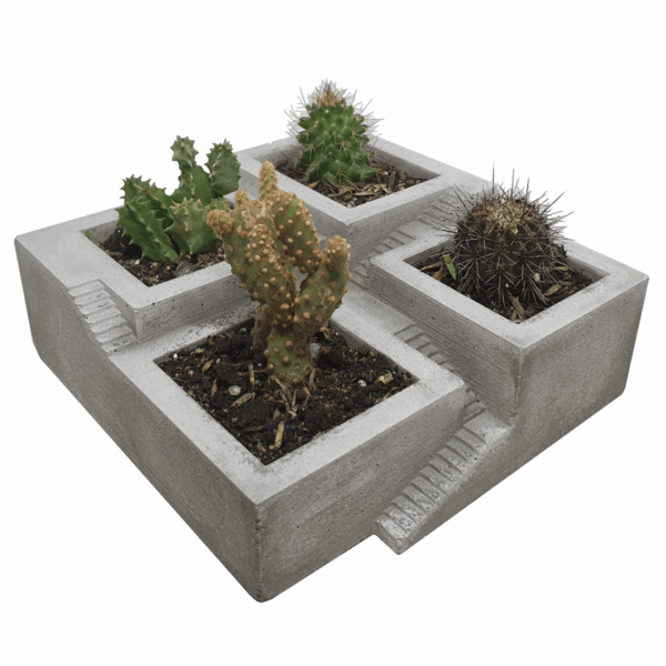 expocicion 54 Terrazas Grande