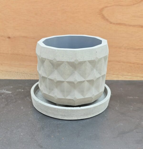 20260212_124738 Campiña