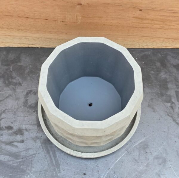 20260212_124755 Campiña