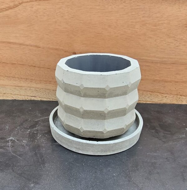 20260212_124849 Anillos