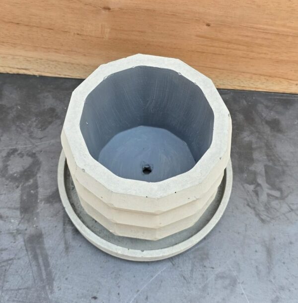 20260212_124853 Anillos