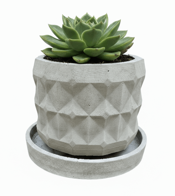 CAMPIÑA 01 Campiña