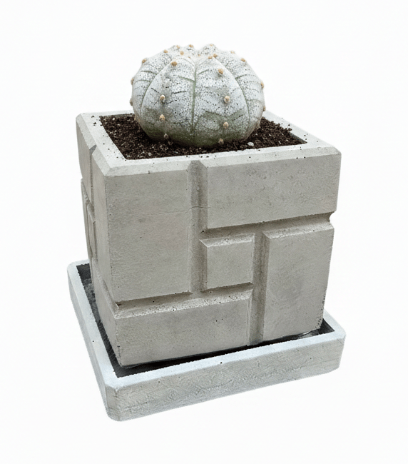 RECTÁNGULOS 03 Rectángulos