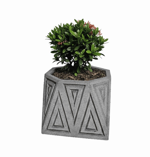 AZTECA PEQUEÑA 5 Azteca Pequeña