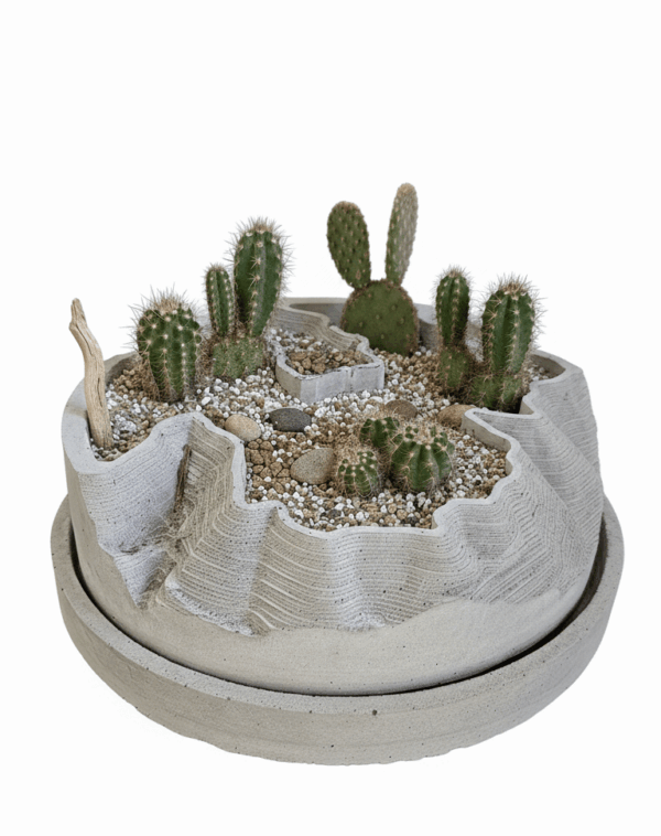 TERRARIO 3 Terrario Circular